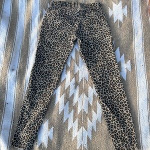 Knox Rose Cheetah/leopard pants